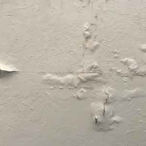 Water Damaged Bubbling Paint