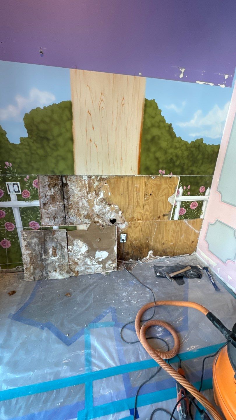 Mold Behind Wall In Kids Play Room In Newport Beach