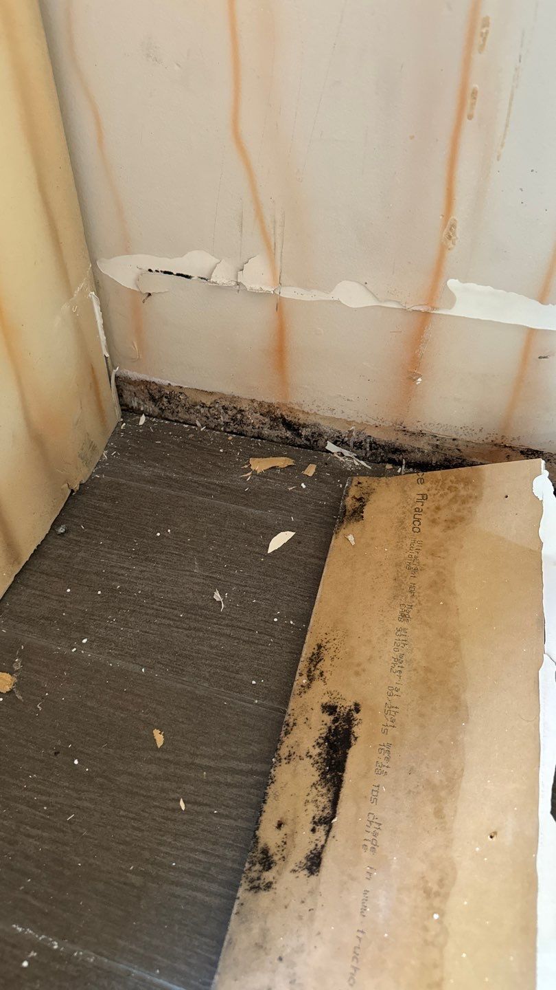 Mold In Kids Room Newport Beach