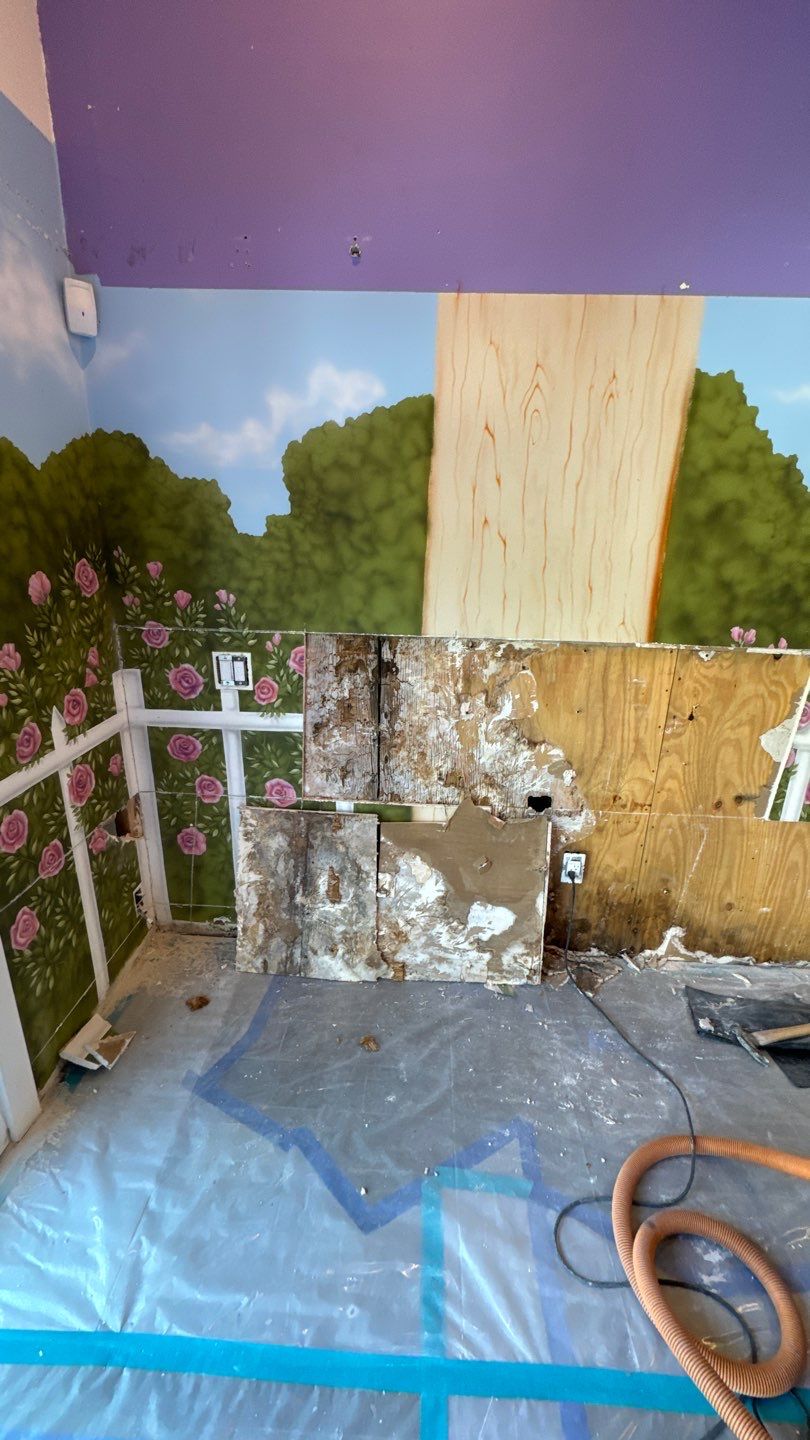 Mold-In-Kids-Play-Room-In-Newport-Beach-Ca.jpg
