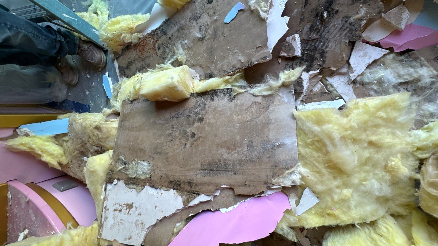 Mold-growth-on-plywood-and-insulation-in-newport-beach.jpg