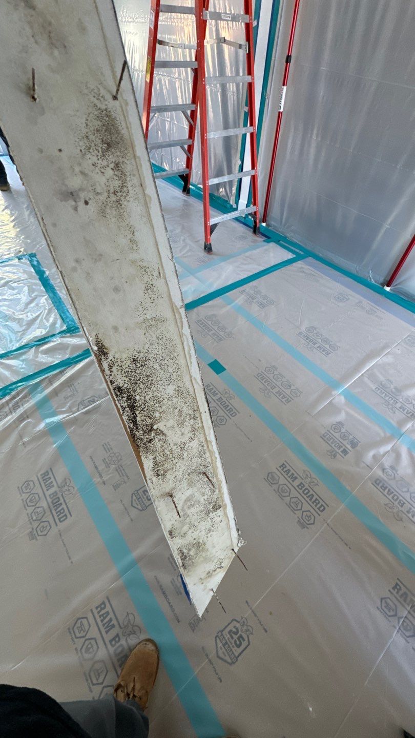 Moldy-Baseboard-In-Newport-Beach-Property.jpg