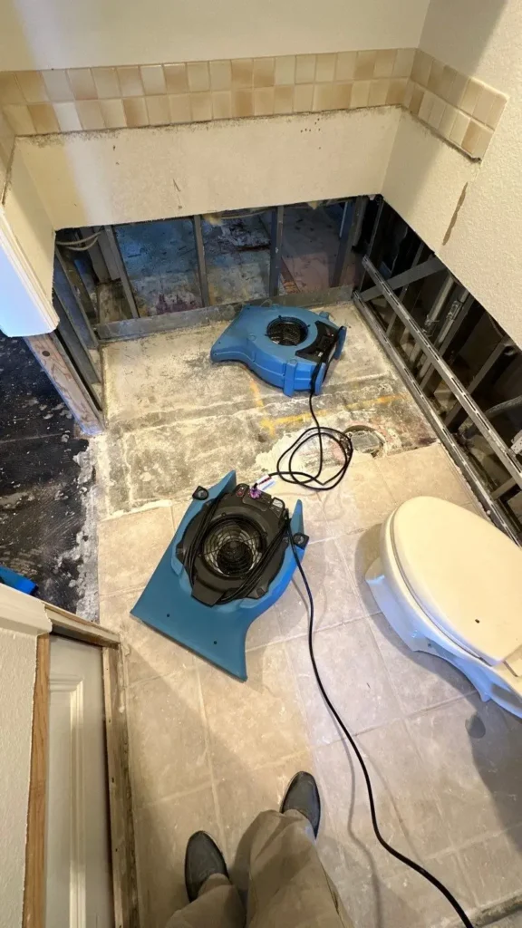 structural drying in irvine