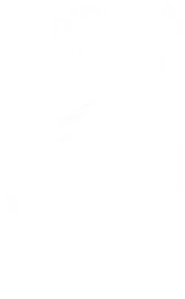 Untitled design (19)